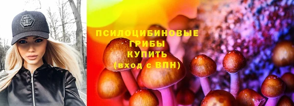 ПСИЛОЦИБИНОВЫЕ ГРИБЫ Абдулино